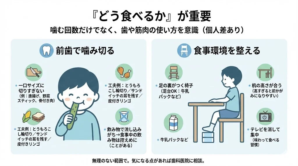 子どもの口の機能を育てるために「どう食べるか」が大切である点を、前歯で噛み切る工夫（大きさの出し方、とうもろこし輪切り、サンドイッチの耳、皮付きリンゴ、飲み物で流し込まない）と、食事環境（足裏がつく椅子・足置き台、机の高さ、テレビを消して集中）として1枚にまとめた図解イラスト。