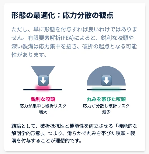 咬頭形態と応力分散の考え方を示す図｜鋭利な咬頭と丸みのある咬頭の違いを説明するコンセプト図
