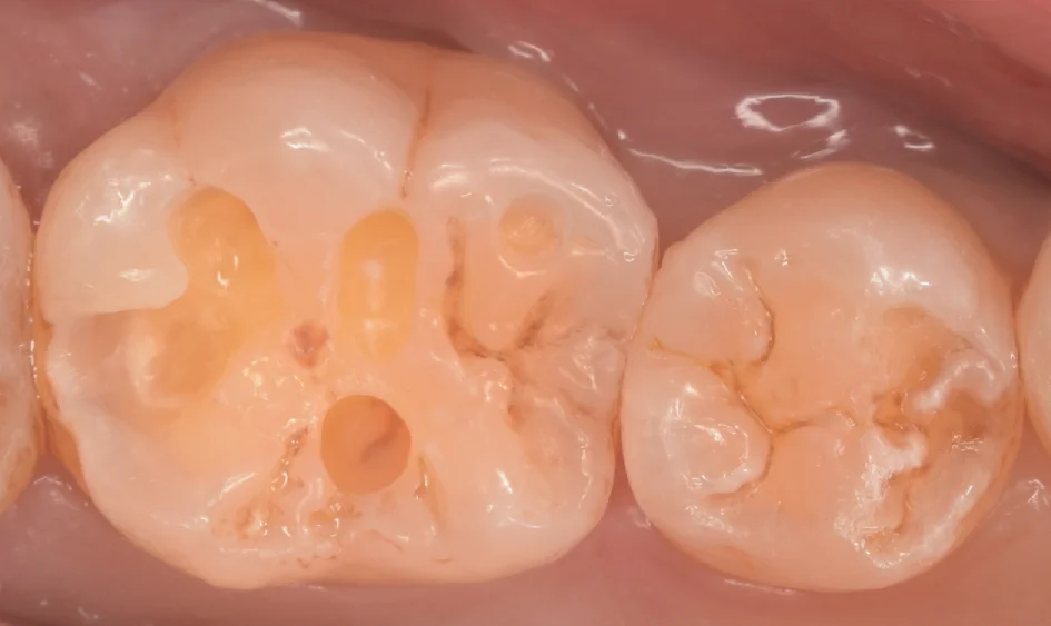 神奈川県からお越しの方｜坂寄歯科医院（取手市藤代） - 画像4