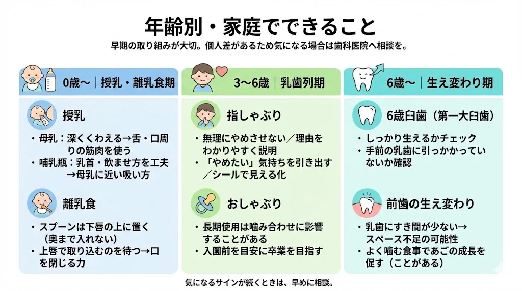 子どもの口の機能を育てるために家庭でできることを、0歳から（授乳・離乳食）、3〜6歳（指しゃぶり・おしゃぶり）、6歳以降（6歳臼歯と前歯の生え変わり、よく噛む食事）に分けて1枚にまとめた図解。個人差があるため、気になる点は歯科医院へ相談することをやさしく案内。