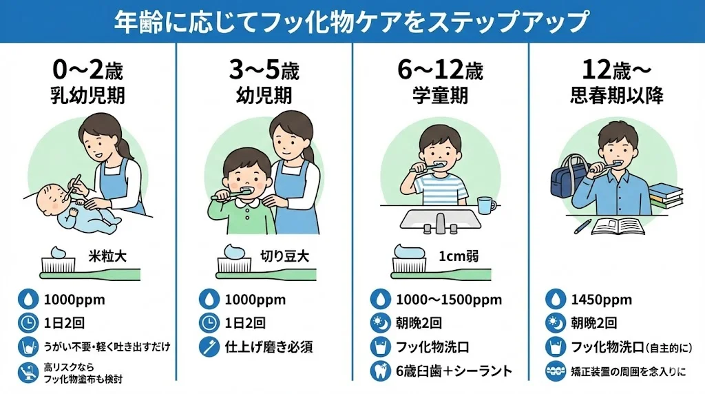 0〜2歳・3〜5歳・6〜12歳・12歳以上の4区分ごとに、フッ素濃度、歯磨き粉の使用量、回数、仕上げ磨きやフッ化物洗口などのポイントを親子のイラストとともに一覧で示した、小児の年齢別フッ素入り歯磨き粉の使い方ガイド画像。