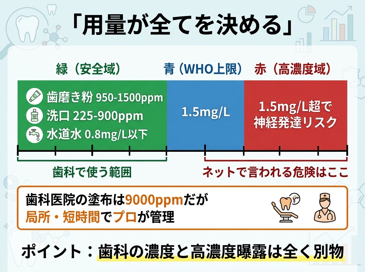 フッ化物の用量と影響の概念図：歯科用の安全域と高濃度曝露域の違い
